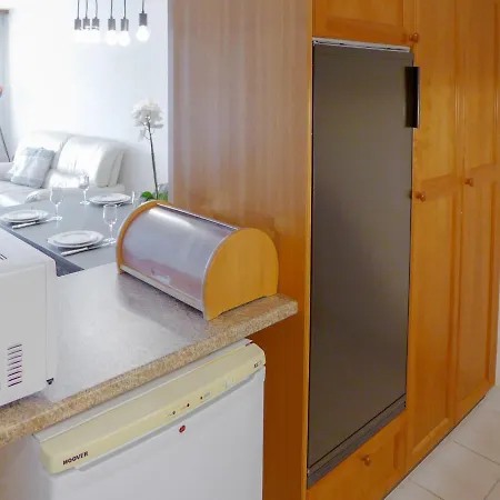Mandarin D 14 By Interhome Lejlighed Vermala